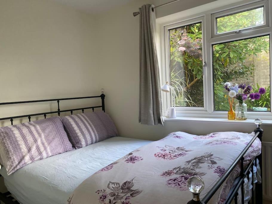 Cosy Apartment With Private Access And Kitchenette In Guildford (Adults Only) 沃皮勒斯顿 外观 照片